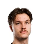Foto de L. Väyrynen