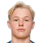 Foto de H. Andersson Mella