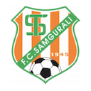 Escudo de Samgurali