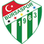 Escudo de Bursaspor