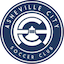 Escudo de Asheville City