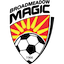 Escudo de Broadmeadow Magic