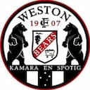 Escudo de Weston Bears
