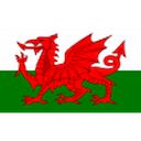 Escudo de Wales U19