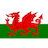 Escudo de Wales U19