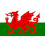 Escudo de Wales U19