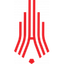 Escudo de Amkar