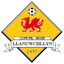 Escudo de Llanuwchllyn