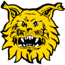 Escudo de Ilves