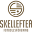 Escudo de Skellefteå