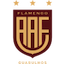 Escudo de Flamengo SP U20