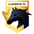 Escudo de Llaneros