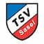 Escudo de Sasel