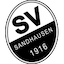 Escudo de SV Sandhausen