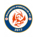 Escudo de Shangyu Pterosaur