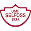 Escudo de Selfoss