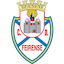 Escudo de Feirense