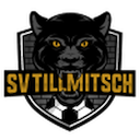 Escudo de Tillmitsch