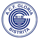 Escudo de Gloria Bistriţa
