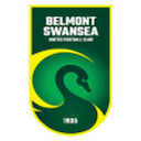 Escudo de Belmont Swansea