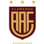 Escudo de Flamengo SP