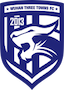 Escudo de Wuhan Three Towns II