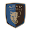 Escudo de Al Ula