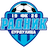 Escudo de Radnik Surdulica