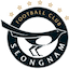 Escudo de Seongnam FC