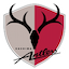 Escudo de Kashima