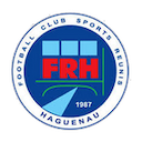 Escudo de Haguenau