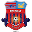 Escudo de Dila