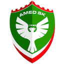 Escudo de Amed