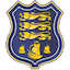 Escudo de Waterford