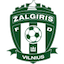 Escudo de Žalgiris II