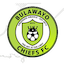 Escudo de Bulawayo Chiefs