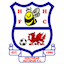 Escudo de Holyhead Hotspur