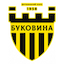 Escudo de Bukovyna
