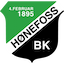 Escudo de Hønefoss