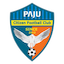Escudo de Paju Citizen