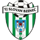 Escudo de Bzenec
