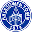 Escudo de Halesowen Town