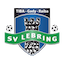 Escudo de Lebring