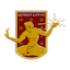 Escudo de Detroit City