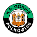 Escudo de Górnik Polkowice