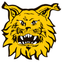 Escudo de Ilves II