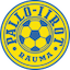 Escudo de P-Iirot